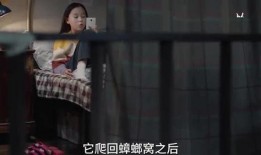 爆料姐姐笑声视频大全集,爆笑集结！姐姐笑声视频大全集精彩回顾